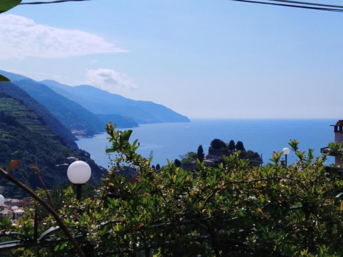 Hotel La Cabana Cinque Terre Monterosso Monterosso al Mare Exterior foto